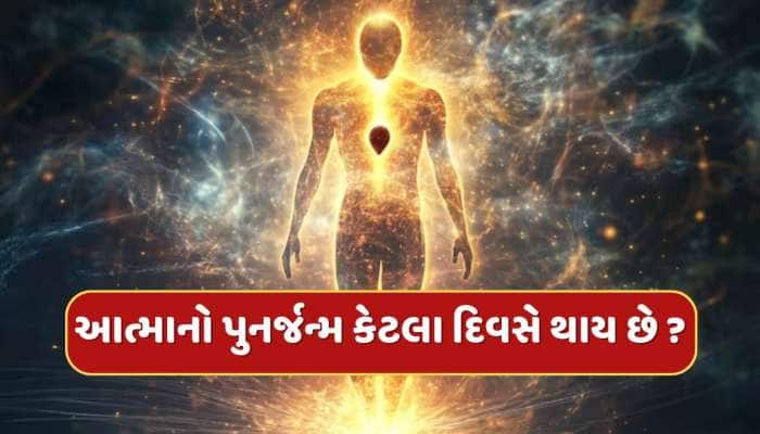 મૃત્યુ પછી પૃથ્વી પર ફરીથી જન્મ લેવા માટે કેટલા દિવસો લાગે છે ?  