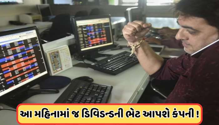 ₹7ના શેરે 1 લાખના રોકાણમાં આપ્યું 2.33 કરોડનું રિટર્ન, હવે કંપની આપી રહી છે ડિવિડન્ડ