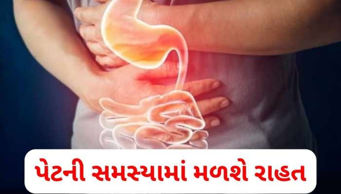 એસિડિટી અને બ્લોટિંગથી પરેશાન છો તો આ દેશી પીણા પીવો, પેટની સમસ્યામાં મળશે રાહત