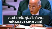 'PoK છોડવું જ પડશે...', UNમાં ભારતે પાકિસ્તાનને ફરી દેખાડ્યો અરીસો, ખરાબ રીતે ઠપકો..