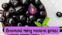 ઉનાળામાં મળતું સ્વાદિષ્ટ ફળ સ્વાસ્થ્ય માટે જાદૂ, જાણો કયા ગુણથી ભરપુર હોય છે જાંબુ