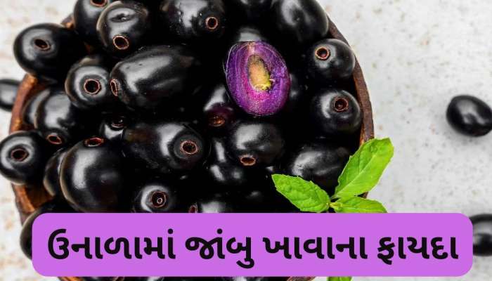ઉનાળામાં મળતું સ્વાદિષ્ટ ફળ સ્વાસ્થ્ય માટે જાદૂ, જાણો કયા ગુણથી ભરપુર હોય છે જાંબુ