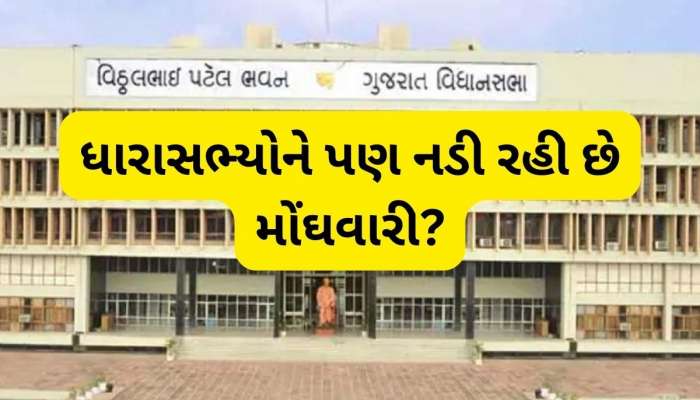 રાજ્યના ધારાસભ્યોને પણ નડી મોંઘવારી! વિધાનસભામાં કરી પગાર અને ભથ્થામાં વધારાની માગણી