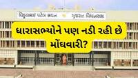 રાજ્યના ધારાસભ્યોને પણ નડી મોંઘવારી! વિધાનસભામાં કરી પગાર અને ભથ્થામાં વધારાની માગણી