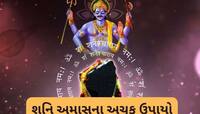 શનિ અમાવસ્યા પર કરો આ 5 અચૂક ઉપાય, સાડાસાતીમાં પણ શનિદેવ મહેરબાન રહેશે અને ધન વધશે