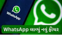 હવે WhatsApp દ્વારા સીધો જ કોલ થશે; 7 સ્ટેપમાં ઉપયોગ કરી શકશો નવું અપડેટ