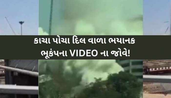 ચારેબાજુ તબાહી, કંપી જશે કાળજું; આ 10 VIDEOમાં જુઓ થાઈલેન્ડ-મ્યાનમારના ભૂકંપનો મંજર