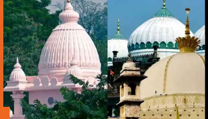 મંદિર અને મસ્જિદની છત ગોળાકાર કેમ હોય છે? ધર્મ સિવાય પણ એક રસપ્રદ કારણ છે