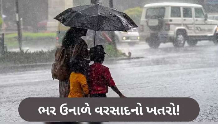 20 જિલ્લામાં વરસાદની આગાહી, 30-40 કિમીની ઝડપે પવન પણ ફૂંકાશે, નવી સિસ્ટમ થઈ સક્રિય