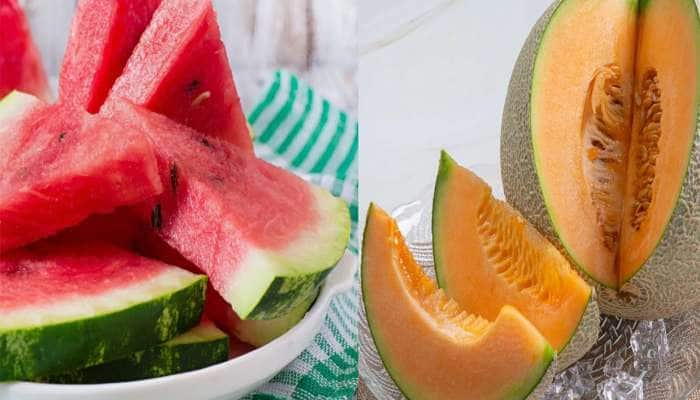 Watermelon v/s Muskmelon: તરબૂચ કે શક્કરટેટી ઉનાળામાં વજન ઘટાડવા માટે કયું ફળ ખાવું?