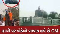 ફિલ્મમાં હાથી પર બેઠેલો આ છોકરો... આજે છે એક શક્તિશાળી રાજનેતા અને આ રાજ્યના CM