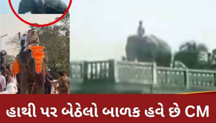 ફિલ્મમાં હાથી પર બેઠેલો આ છોકરો... આજે છે એક શક્તિશાળી રાજનેતા અને આ રાજ્યના CM