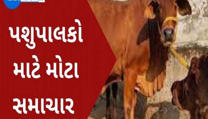 પશુપાલકો માટે ખુશખબર! દૂધાળા પશુઓના વીમા માટે સરકાર આપી રહી છે 75% સબસિડી, જાણો
