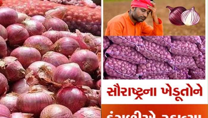 મહેનત કરી ઉગાડ્યું ને વેચવા ગયા તો ભાવ અડધા, આ ખેતી કરીને પછતાયા સૌરાષ્ટ્રના ખેડૂતો 