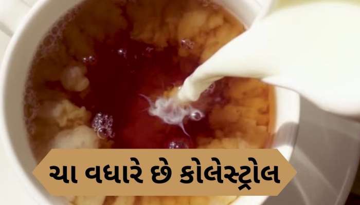 આ વસ્તુને ચામાં મિક્સ કરી ન પીવો, શરીરની નસોમાં જમા થઈ જશે બેડ કોલેસ્ટ્રોલ