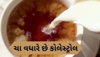 આ વસ્તુને ચામાં મિક્સ કરી ન પીવો, શરીરની નસોમાં જમા થઈ જશે બેડ કોલેસ્ટ્રોલ