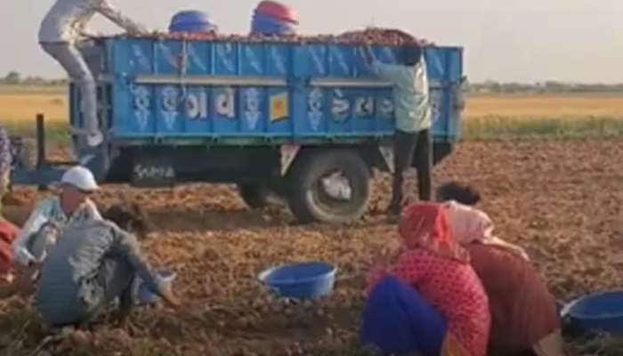 ધનસુરાના ખેડૂતે બનાવ્યું જબરદસ્ત મશીન, બટાકાની ખેતી કરતા ખેડૂતોને થશે મોટો ફાયદો