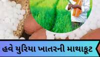 બિલ વિના ખાતર નહીં ખરીદવા ગુજરાતના ખેડૂતોને સલાહ; મહેસાણામાં સામે આવ્યો મોટો કાંડ!