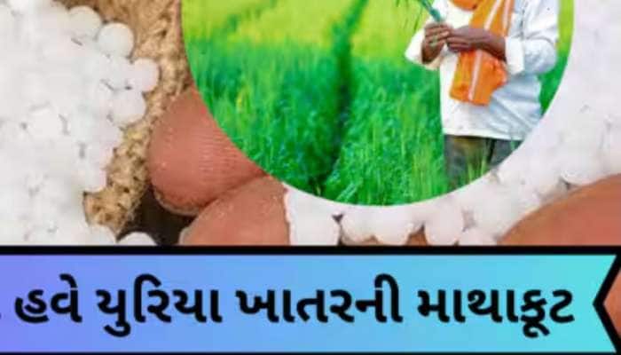 બિલ વિના ખાતર નહીં ખરીદવા ગુજરાતના ખેડૂતોને સલાહ; મહેસાણામાં સામે આવ્યો મોટો કાંડ!