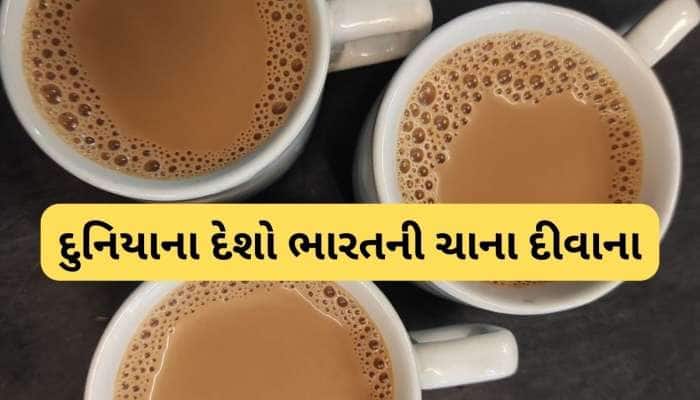 ચાની દુનિયામાં ભારતનો ડંકો, દુનિયાનો બીજો સૌથી મોટો નિકાસકાર બન્યો