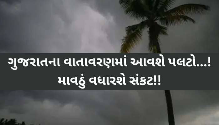 ગુજરાતના આ વિસ્તારોમાં ગાજવીજ સાથે વરસાદ થશે, અંબાલાલની ભરઉનાળે ઠંડી ચઢાવે એવી આગાહી