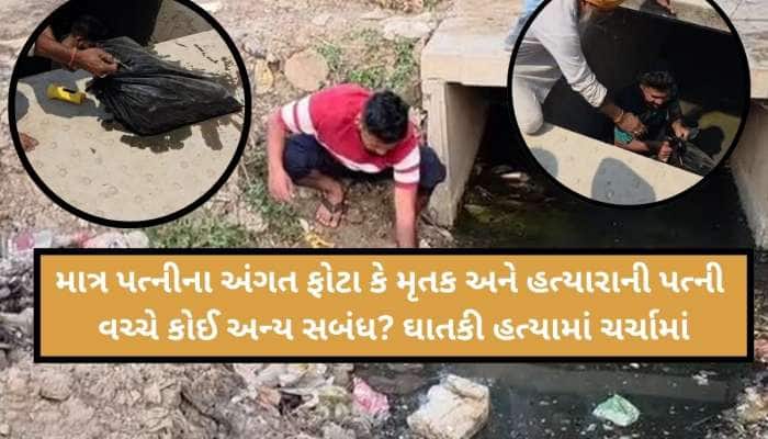 પત્નીના અંગત ફોટા, 4 લાખની લોન...આરી વડે મિત્રના 9 ટુકડા, સ્ત્રી વેશ ધારણ કરી નિકાલ