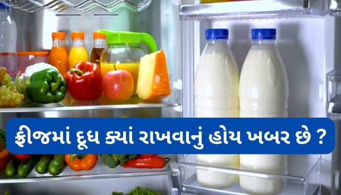 મોટાભાગના લોકો ફ્રીજમાં દૂધ રાખવામાં કરે છે ભુલ, જાણો ફ્રીજની કઈ જગ્યા દૂધ માટે છે