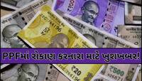 PPFમાં રોકાણ કરનારને સરકારની મોટી ભેટ, ફ્રીમાં થશે આ કામ;નાણામંત્રીએ જણાવી અંદર વાત!