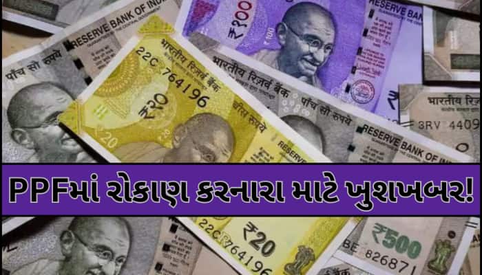PPFમાં રોકાણ કરનારને સરકારની મોટી ભેટ, ફ્રીમાં થશે આ કામ;નાણામંત્રીએ જણાવી અંદર વાત!