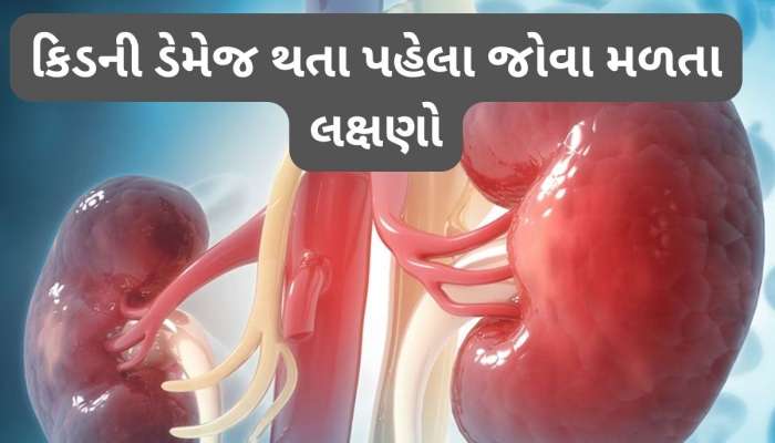 Kidney Health: કિડનીમાં સોજો આવી જાય ત્યારે શરીરમાં દેખાય આ 5 ફેરફાર, ઈગ્નોર કરવાથી કિડની થઈ જાય ડેમેજ