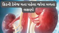 કિડનીમાં સોજો આવે ત્યારે શરીરમાં દેખાય આ 5 ફેરફાર, ઈગ્નોર કરવાથી કિડની થઈ જાય ડેમેજ