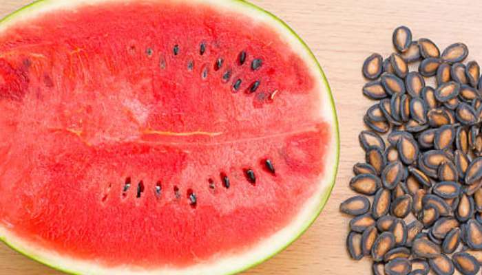 Watermelon Seeds: કચરો સમજી તરબૂચના બીને ફેંકતા નહીં, હાર્ટ પ્રોબ્લેમ, વધારે વજનથી લઈ અનેક તકલીફમાં ઉપયોગી સાબિત થશે