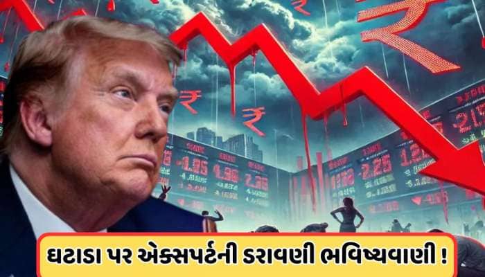 ડોનાલ્ડ ટ્રમ્પની ટેરિફ જાહેરાત વધુ મુશ્કેલી ઊભી કરશે, એક્સપર્ટે આપી ચેતવણી