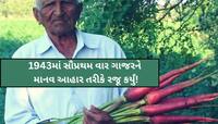 કોણ છે ગુજરાતમાં ગાજરની ખેતીના પ્રણેતા? જાણો 95 વર્ષીય ખેડૂતની એક સફળ ગાથા