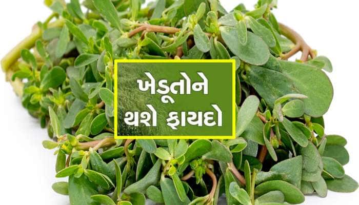 ગરમીમાં ખાલી પડેલા ખેતરમાં 20 રૂપિયાના બીજ વાવો, જેટલું કાપતા જશો એટલું ઉગતું જશે 