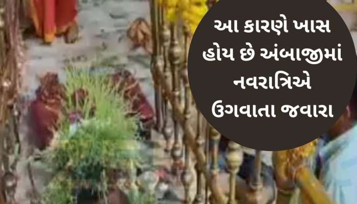 અંબાજીમાં ચૈત્રી નવરાત્રિ દરમિયાન ઉગેલા જવેરા પરથી કઢાયો વરસાદનો વરતારો, કેવું રહેશે આખું વર્ષ?