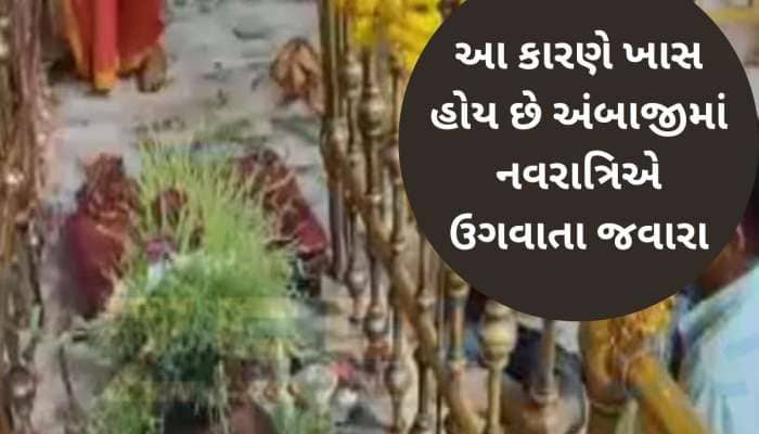 અંબાજીમાં ચૈત્રી નવરાત્રિ દરમિયાન ઉગેલા જવેરા પરથી કઢાયો વરસાદનો વરતારો, કેવું રહેશે