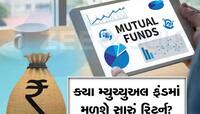 આ 4 મ્યુચ્યુઅલ ફંડ 1 વર્ષમાં આપે છે 90% વળતર, તમે આમાંથી કયામાં રોકાણ કર્યું?