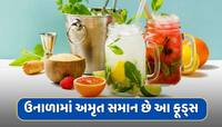 ઉનાળામાં રોજ ખાઓ આ વસ્તુઓ...શરીરમાં નહીં થાય પાણીની કમી 