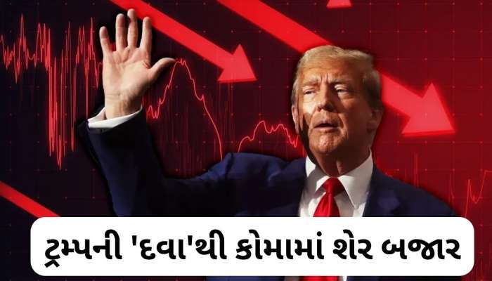 શેર બજારમાં હાહાકાર! આ 4 મોટા કારણોથી બજાર થયું ક્રેશ, જાણો આગળ શું થશે?