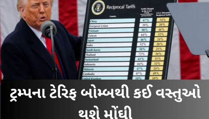 ડોનાલ્ડ ટ્રમ્પના ટેરિફ એટેકથી કઈ વસ્તુઓ થશે મોંઘી, કઈ વસ્તુ થશે સસ્તી? જાણો આ માહિતી
