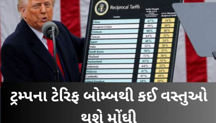 ડોનાલ્ડ ટ્રમ્પના ટેરિફ એટેકથી કઈ વસ્તુઓ થશે મોંઘી, કઈ વસ્તુ થશે સસ્તી? જાણો આ માહિતી
