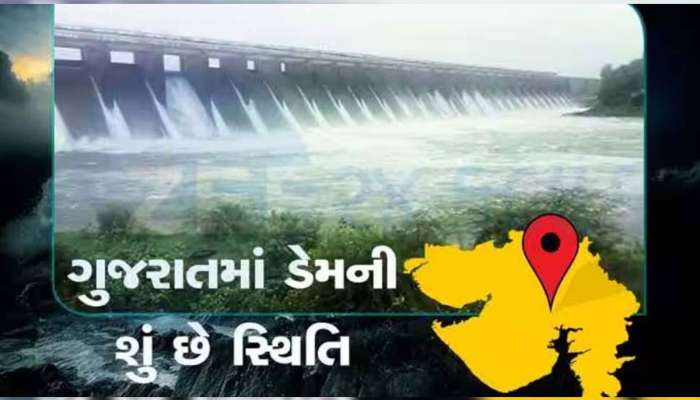 આ ઉનાળામાં નહિ રહે પાણીની તંગી, છલોછલ ભરેલા છે ગુજરાતના ડેમ, સરકારે આપ્યો રિપોર્ટ 