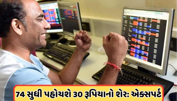 ₹30ના શેર ખરીદવા પડાપડી! LIC પાસે છે 84 લાખ અને SBI પાસે 6 કરોડ શેર