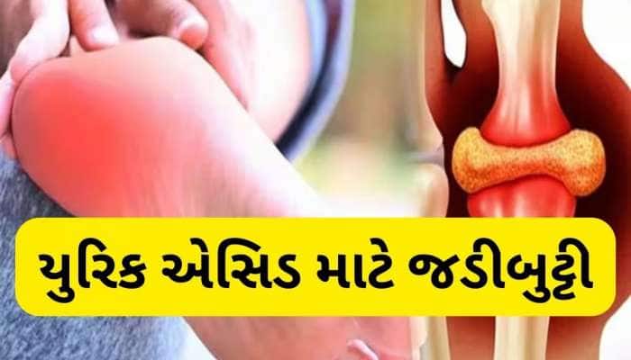 યુરિક એસિડનો ખાત્મો કરશે આ દેશી જડીબુટ્ટી, સાંધાના દુખાવાથી રાહત મેળવવા આ રીતે સેવન