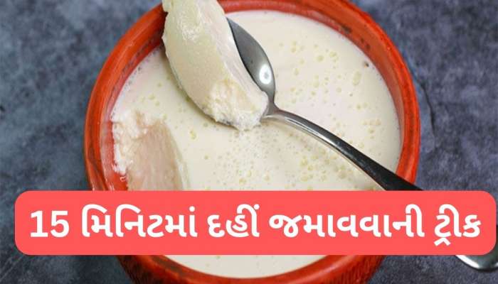 Curd : બસ 15 થી 20 મિનિટમાં જામી જાશે દહીં, ઈમરજન્સી હોય ત્યારે આ સ્ટેપ ફોલો કરી દહીં જમાવજો