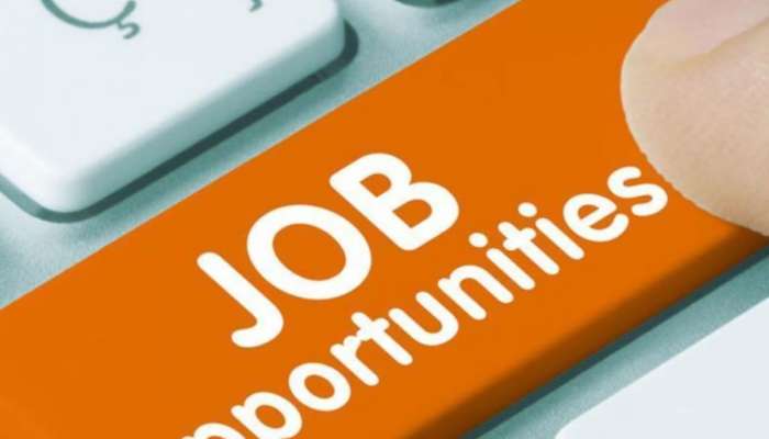 Government Job: સરકારી નોકરી માટે કરો છો તૈયારી? આ 6 સંસ્થાનોમાં નીકળી છે બંપર ભરતી, જાણો વિગતો