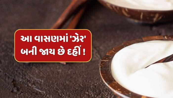 ભૂલથી પણ આ વાસણમાં ના જમાવો દહીં, બની જાય છે ઝેર ! સ્વાસ્થ્ય પર પડશે ખરાબ અસર 