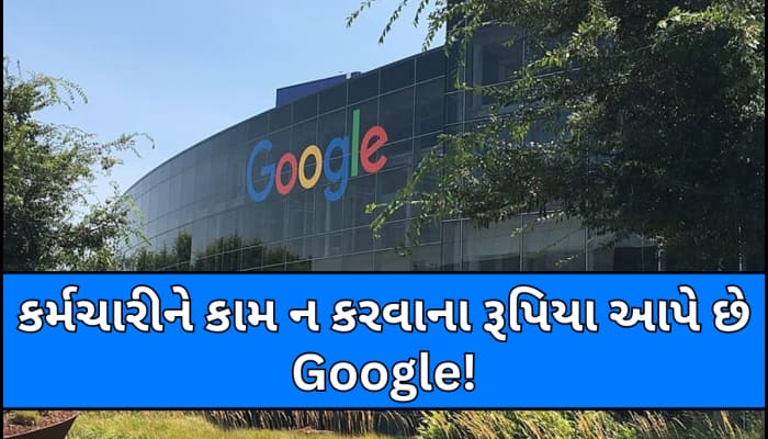 હવે કર્મચારીઓને કંઈ પણ ન કરવા માટે રૂપિયા આપી રહ્યું છે Google, આખરે કેમ...