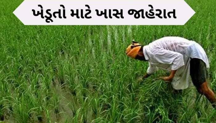 મુખ્યમંત્રી ભૂપેન્દ્ર પટેલનો મોટો નિર્ણય, 13 લાખ જેટલા ખેડૂતોને થશે સીધો લાભ